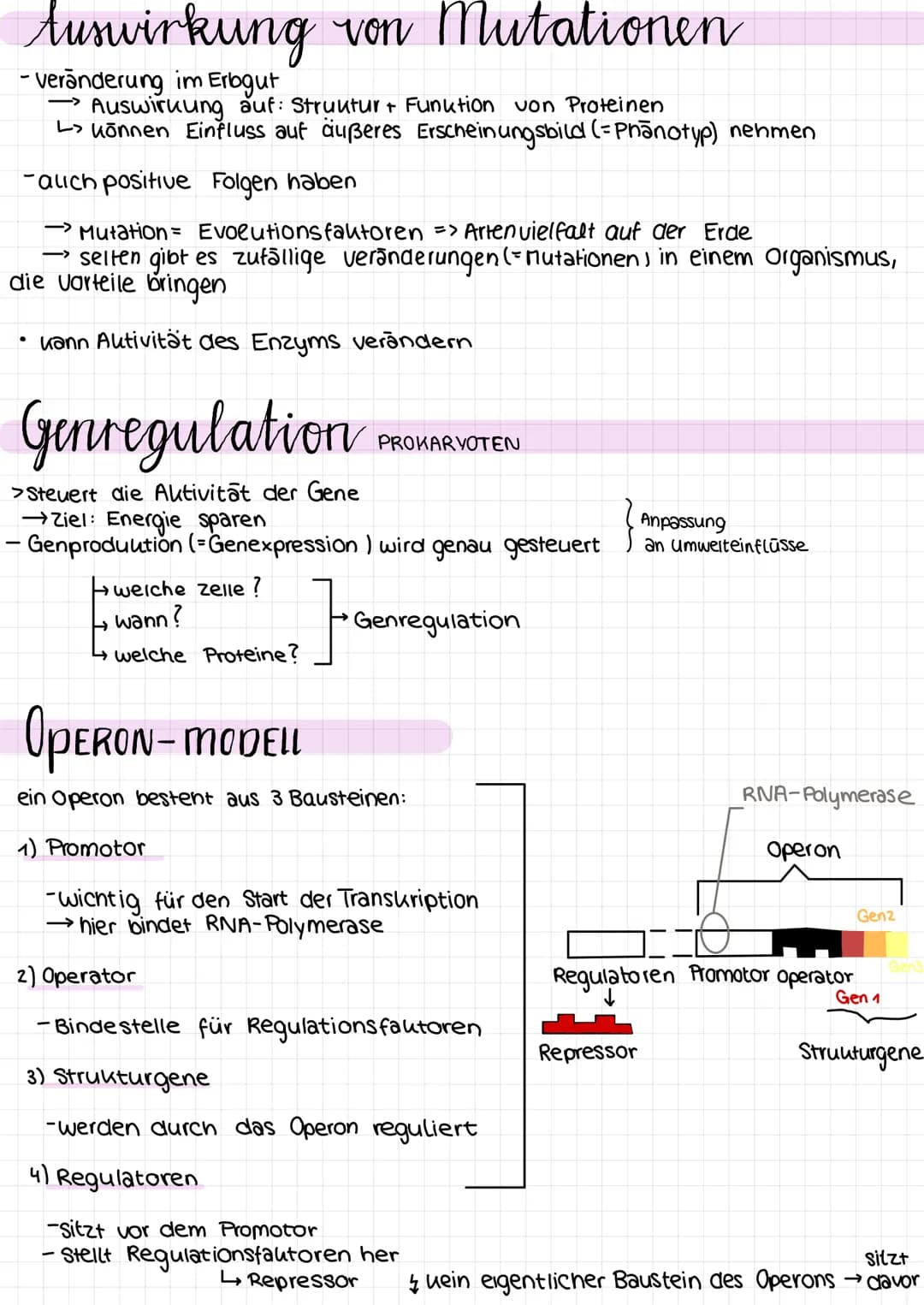 Genetik
Proteinkiosynthese
ist die Neubildung von Proteinen in Zellen und damit der für alle Lebewesen
zentrale Prozess einer Genexpression,