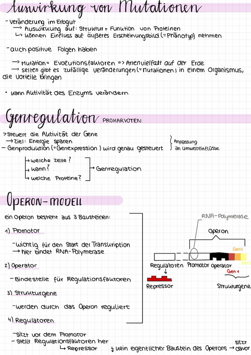 Genetik
Proteinkiosynthese
ist die Neubildung von Proteinen in Zellen und damit der für alle Lebewesen
zentrale Prozess einer Genexpression,