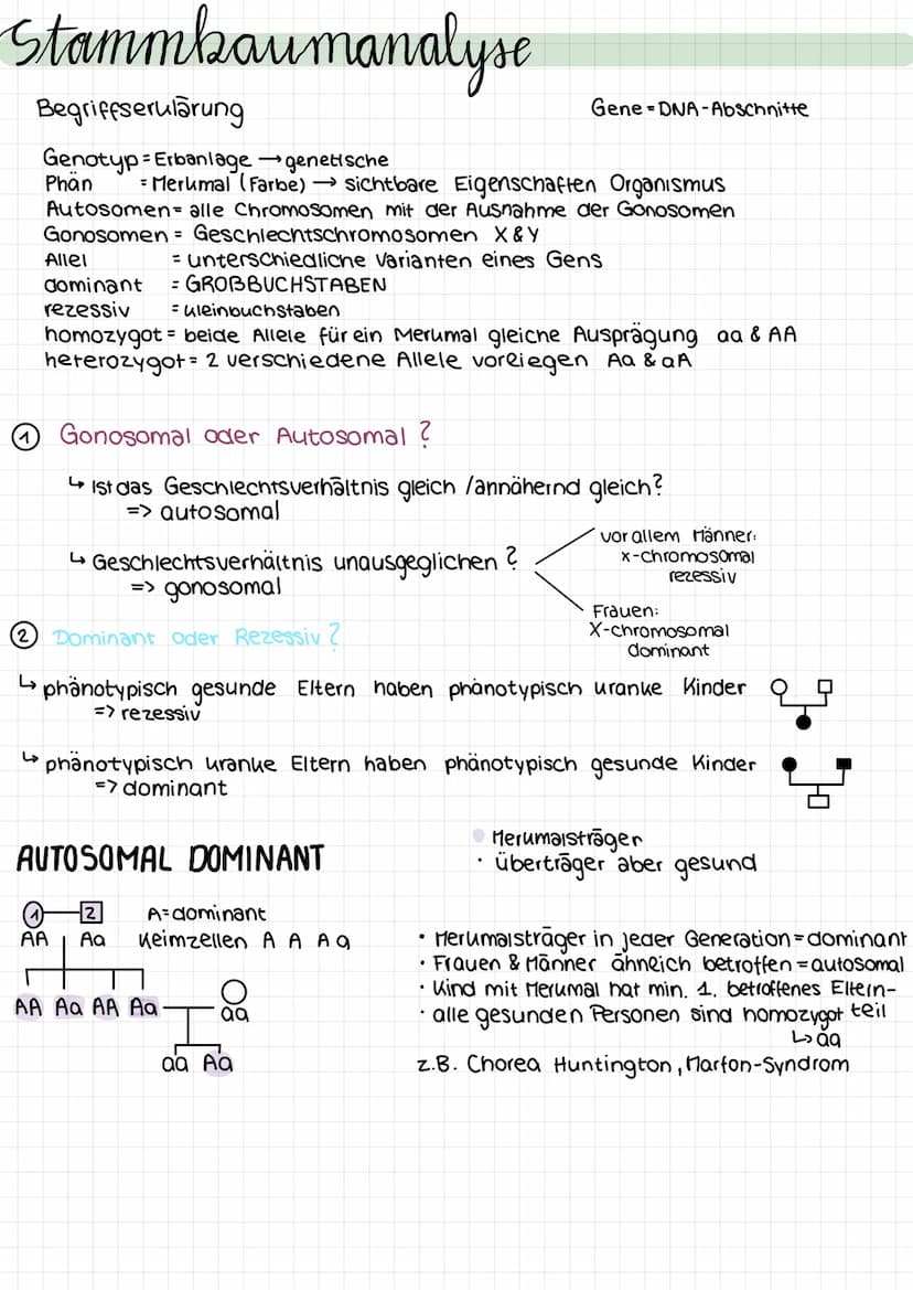Genetik
Proteinkiosynthese
ist die Neubildung von Proteinen in Zellen und damit der für alle Lebewesen
zentrale Prozess einer Genexpression,