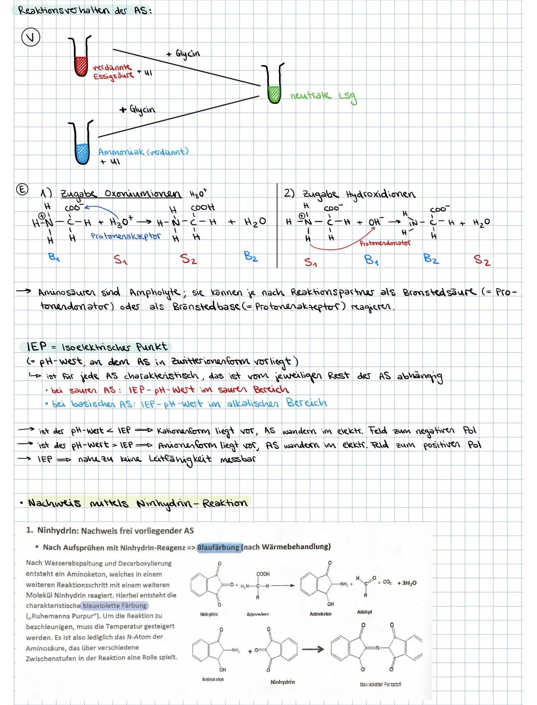 ### 3. PROTEINE

3.1. Aminosäuren als Bausteine der Proteine

Grund bausteine: 20 verschiedene AS (8 davon sind essentielle AS, d.h. der Kör
