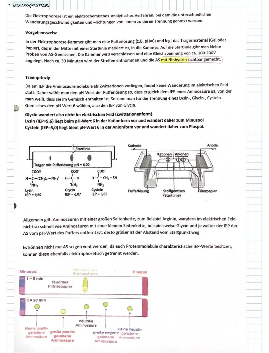 ### 3. PROTEINE

3.1. Aminosäuren als Bausteine der Proteine

Grund bausteine: 20 verschiedene AS (8 davon sind essentielle AS, d.h. der Kör