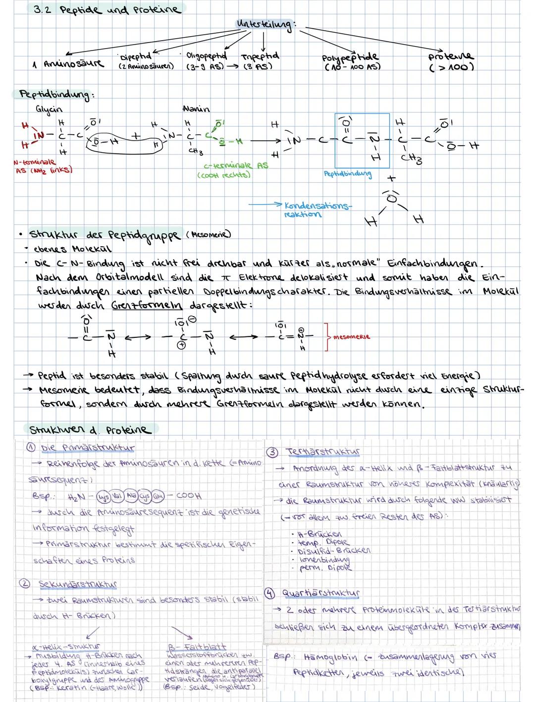 ### 3. PROTEINE

3.1. Aminosäuren als Bausteine der Proteine

Grund bausteine: 20 verschiedene AS (8 davon sind essentielle AS, d.h. der Kör