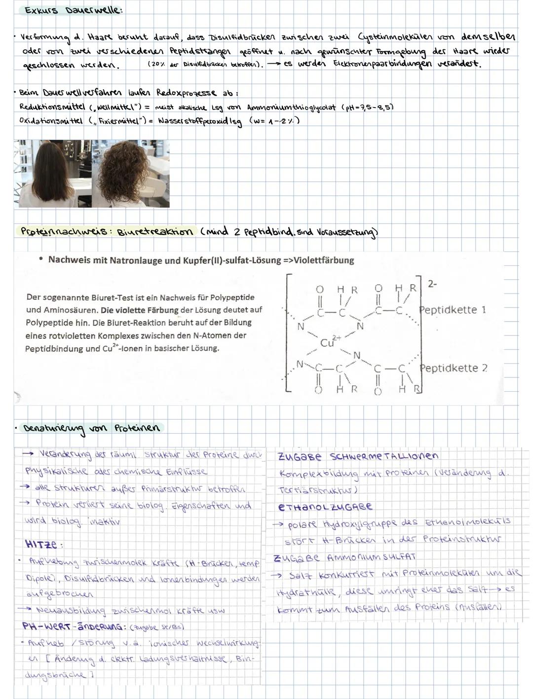 ### 3. PROTEINE

3.1. Aminosäuren als Bausteine der Proteine

Grund bausteine: 20 verschiedene AS (8 davon sind essentielle AS, d.h. der Kör