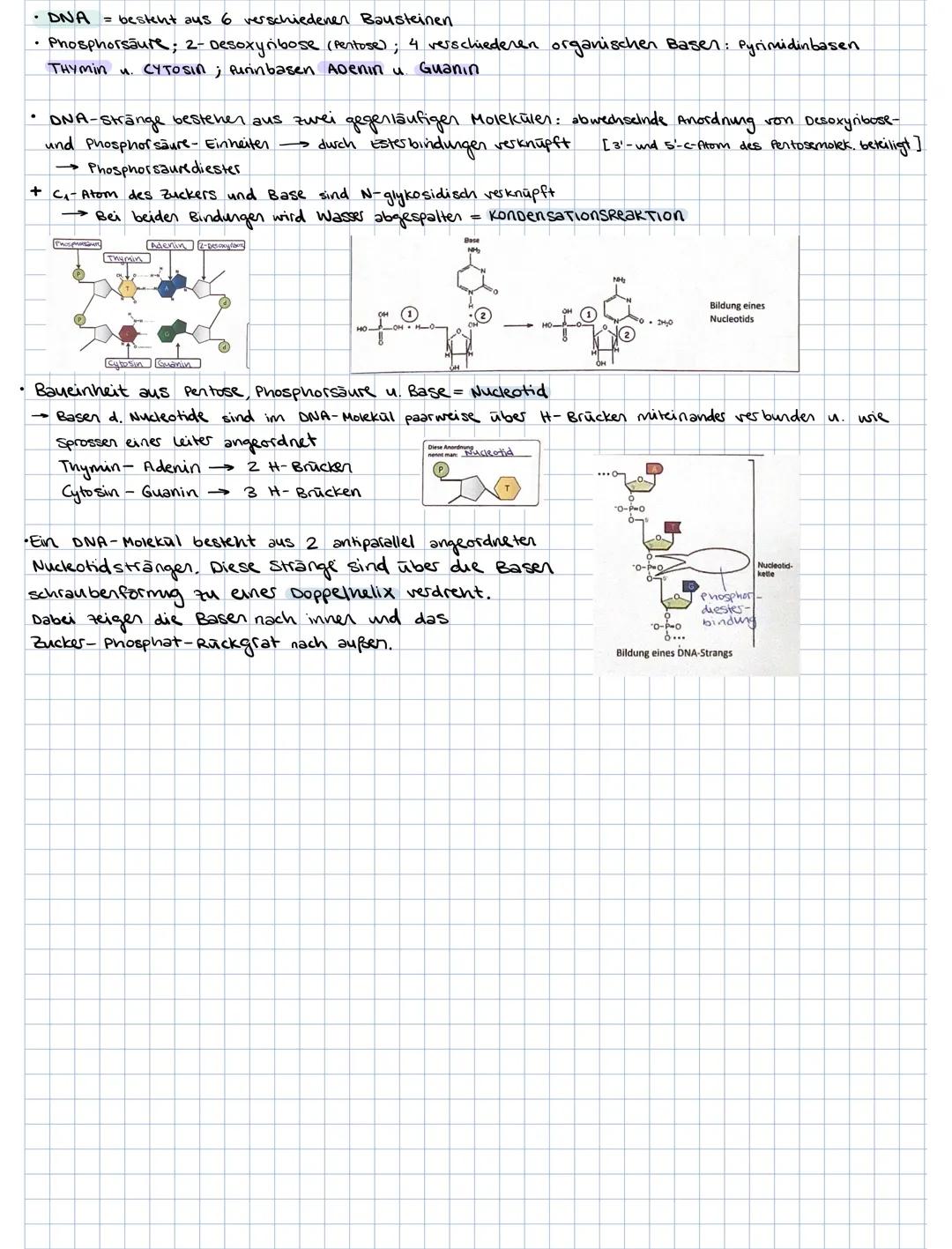 ### 3. PROTEINE

3.1. Aminosäuren als Bausteine der Proteine

Grund bausteine: 20 verschiedene AS (8 davon sind essentielle AS, d.h. der Kör
