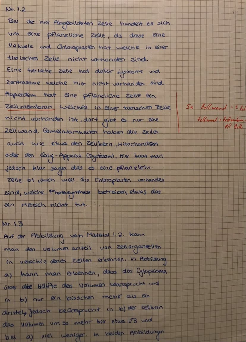 EF Biologie GK 3 -
Material 2.2: Der Zellzyklus
Der Prozess der Zellverdopplung setzt sich aus der Mitose und der Interphase zusammen. Die
I