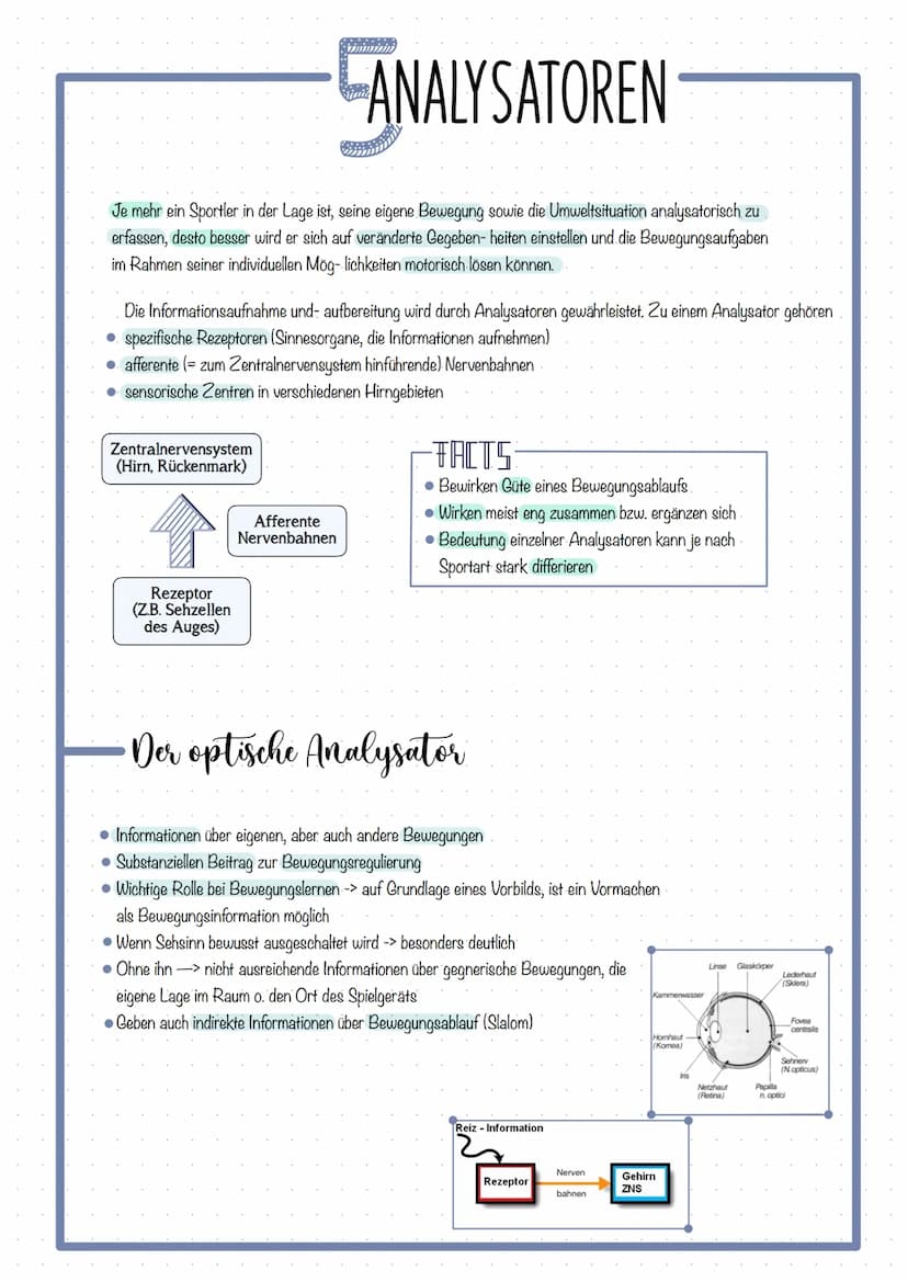 Themen
KOORDINATION DEFINITION
FÜNF ANALYSATOREN & DAS ZUSAMMENWIRKEN
Optische Analysator
Kinästhetische Analysator
Taktile Analysator.
Akus