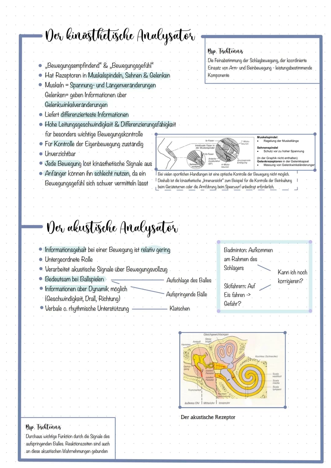 Themen
KOORDINATION DEFINITION
FÜNF ANALYSATOREN & DAS ZUSAMMENWIRKEN
Optische Analysator
Kinästhetische Analysator
Taktile Analysator.
Akus