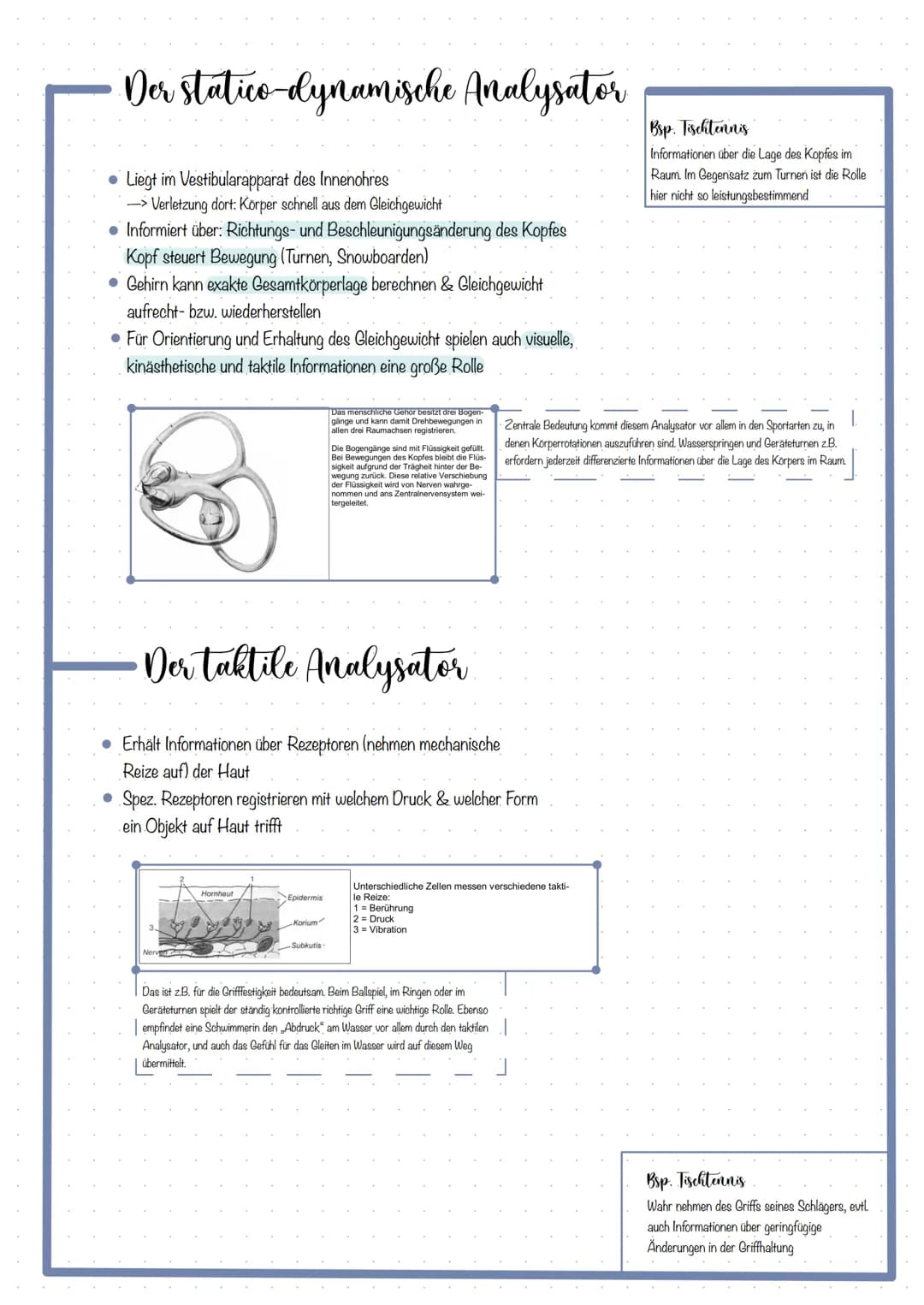 Themen
KOORDINATION DEFINITION
FÜNF ANALYSATOREN & DAS ZUSAMMENWIRKEN
Optische Analysator
Kinästhetische Analysator
Taktile Analysator.
Akus