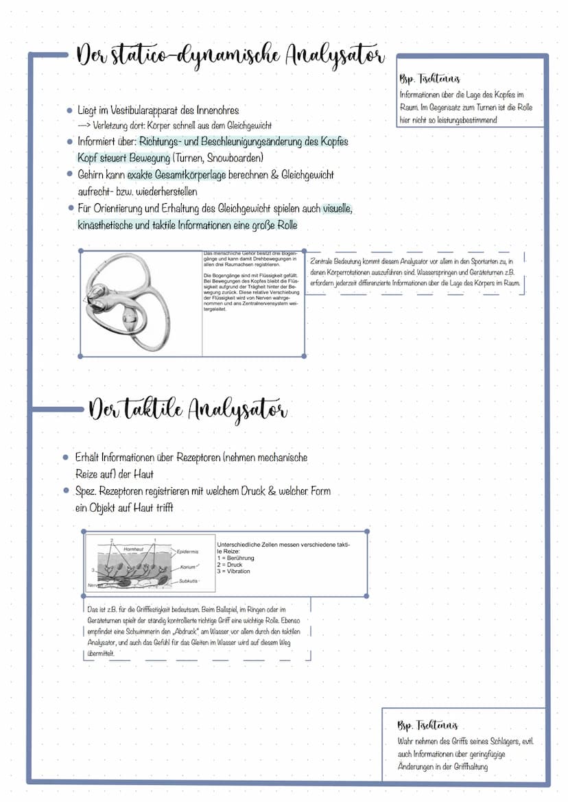 Themen
KOORDINATION DEFINITION
FÜNF ANALYSATOREN & DAS ZUSAMMENWIRKEN
Optische Analysator
Kinästhetische Analysator
Taktile Analysator.
Akus