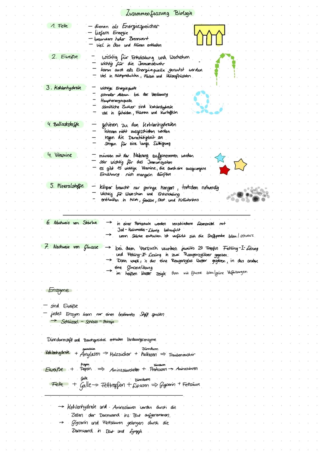 1. Fette
2. Eiweiße
3. Kohlenhydrate
4. Ballaststoffe
4. Vitamine
5. Mineralstoffe
Enzyme
6. Nachweis von Stärke
7. Nachweis von Glucose
Elw