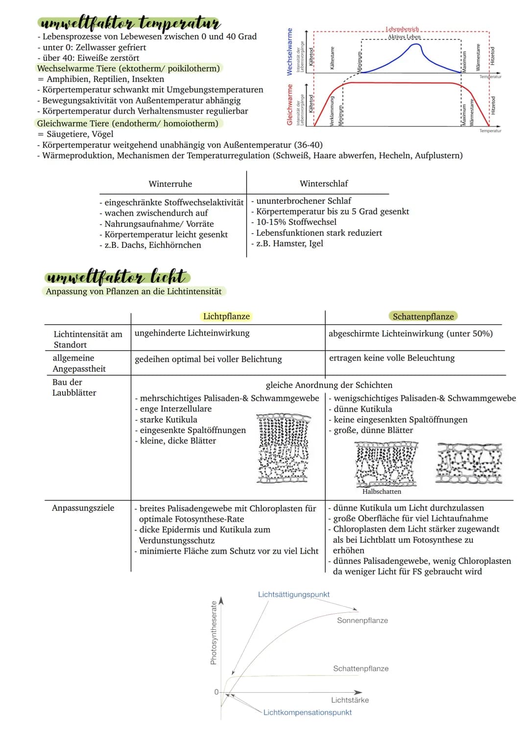 Biotische und Abiotische Faktoren: Beispiele und Tabelle für Kinder