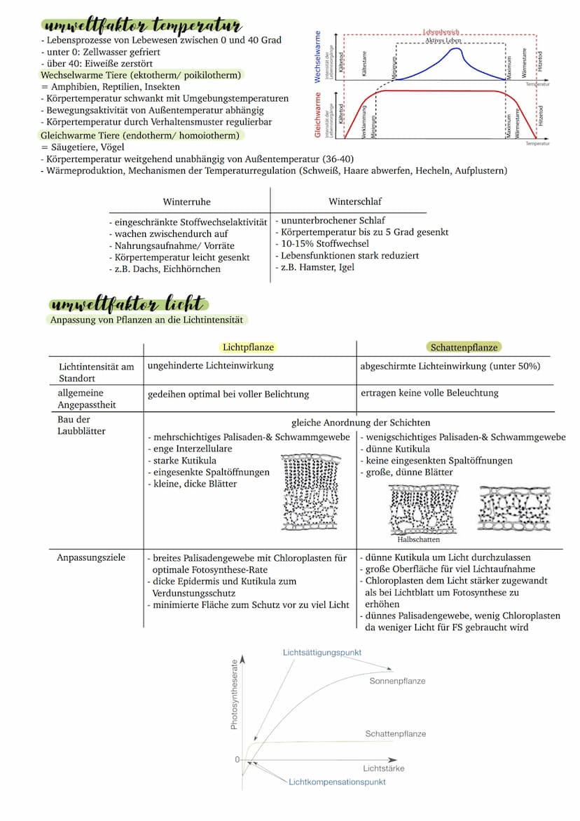 Intensität der Lebensvorgänge
abiotische faktoren
Abiotische Faktoren sind nicht lebende Umweltfaktoren, das heißt es sind keine Lebewesen b