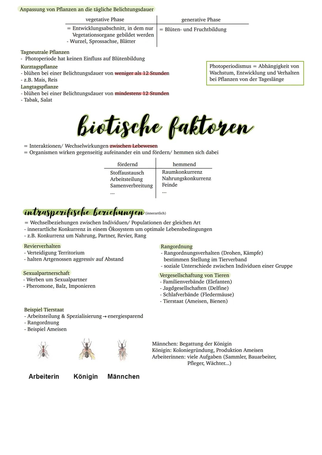 Biotische und Abiotische Faktoren: Beispiele und Tabelle für Kinder