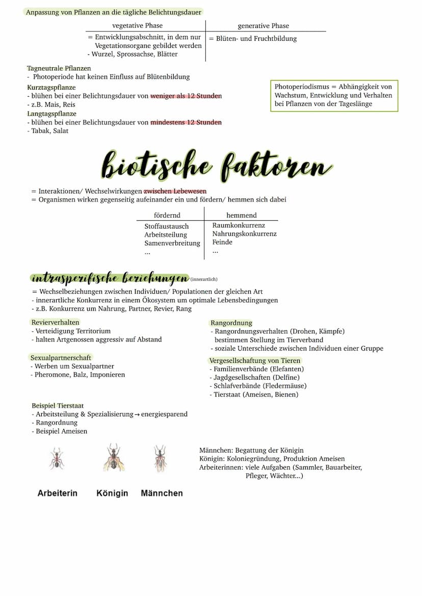 Intensität der Lebensvorgänge
abiotische faktoren
Abiotische Faktoren sind nicht lebende Umweltfaktoren, das heißt es sind keine Lebewesen b