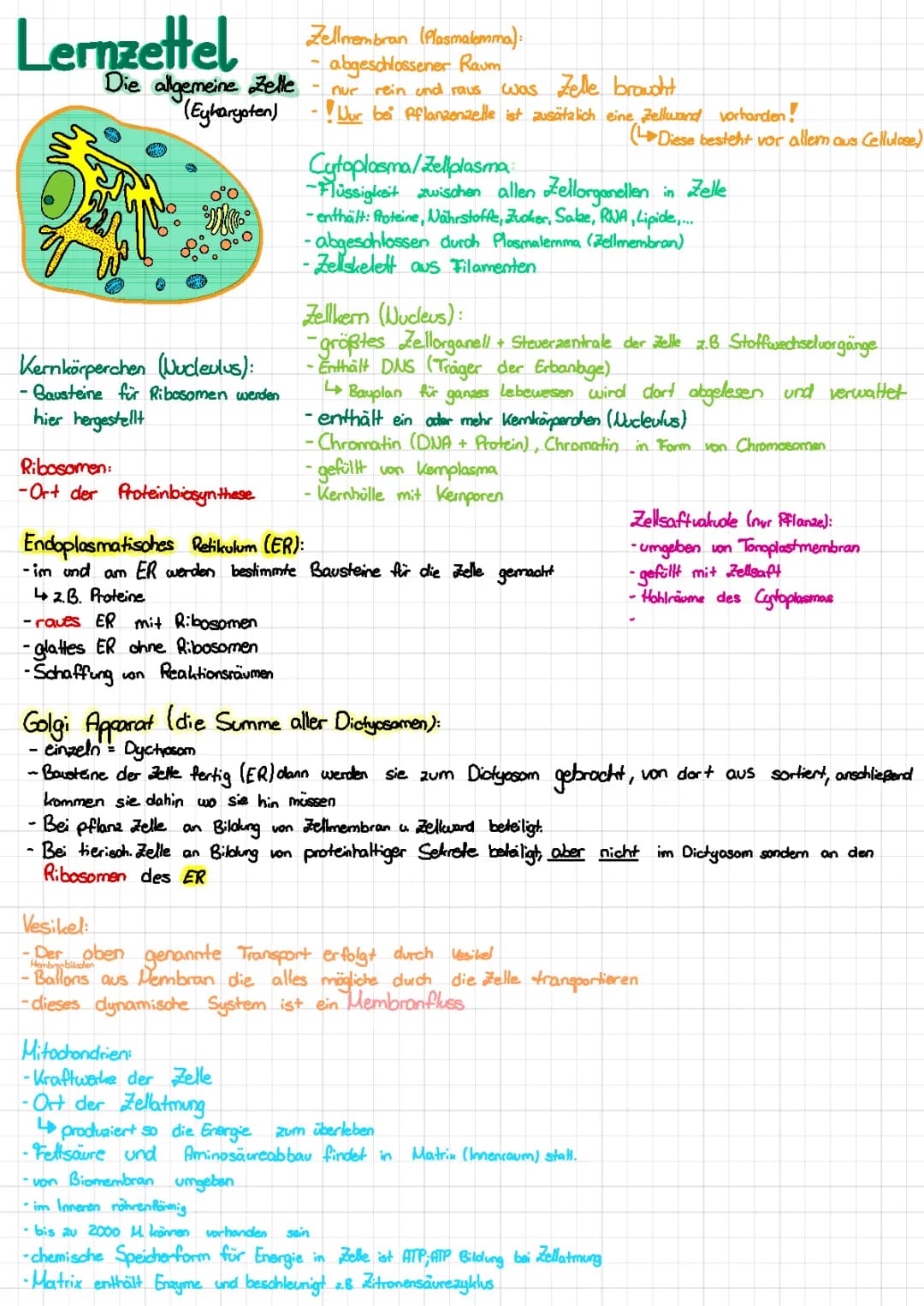 Die allgemeine Zelle