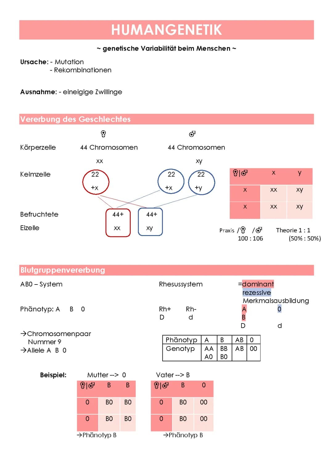 Humangenetik 
