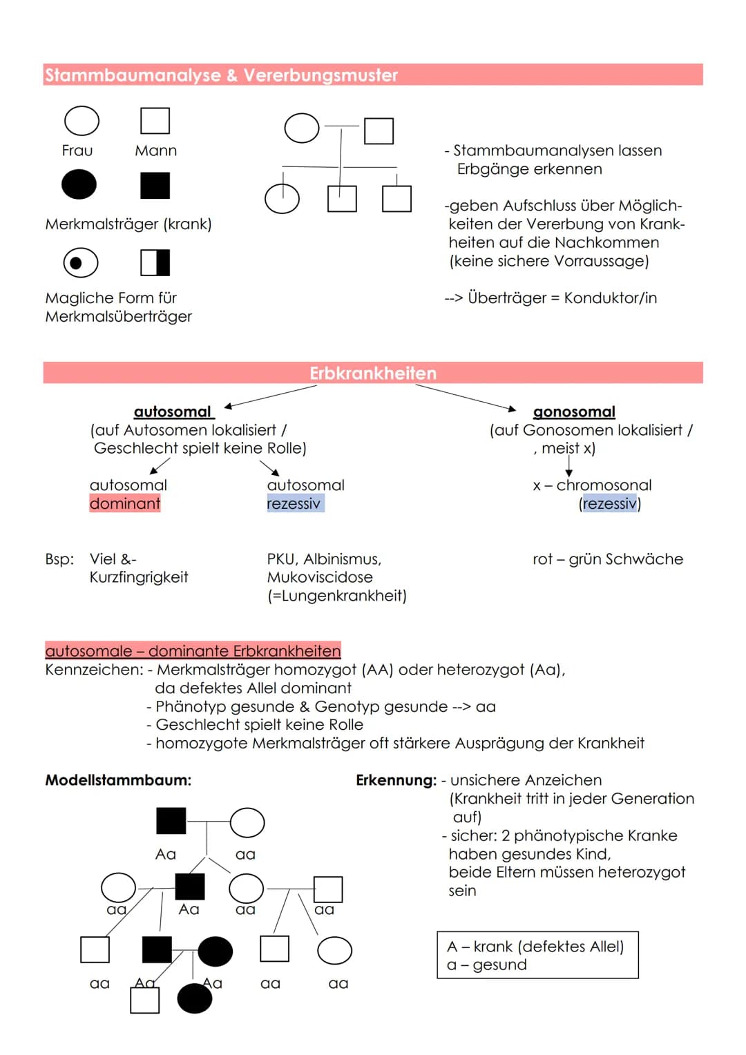 Ursache: - Mutation
- Rekombinationen
Ausnahme: - eineigige Zwillinge
Vererbung des Geschlechtes
Körperzelle
Keimzelle
Befruchtete
Eizelle
A