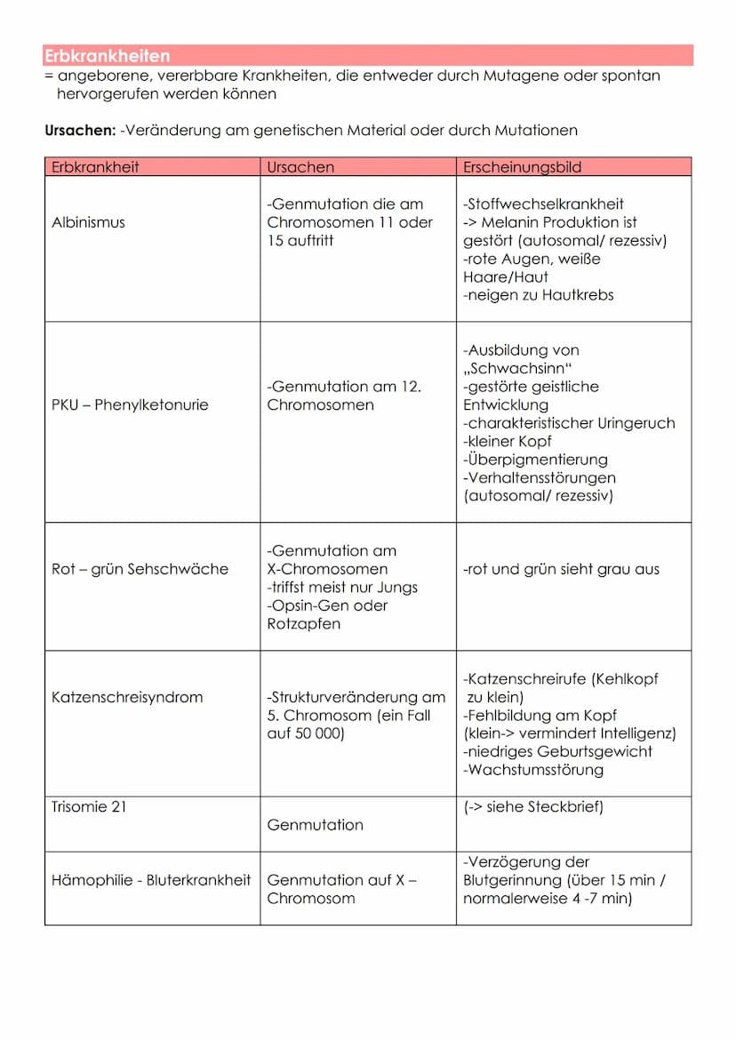 Ursache: - Mutation
- Rekombinationen
Ausnahme: - eineigige Zwillinge
Vererbung des Geschlechtes
Körperzelle
Keimzelle
Befruchtete
Eizelle
A