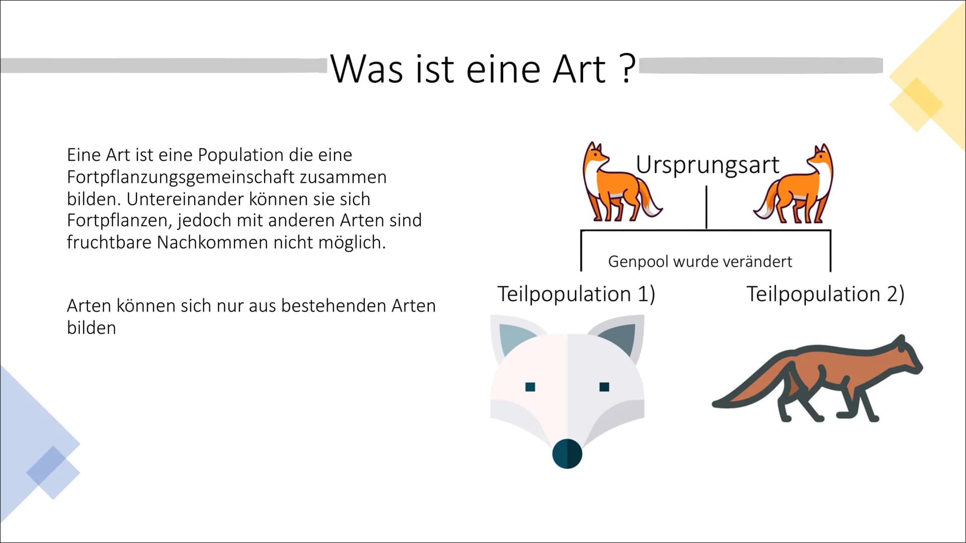 Allopatrische und
Sympatrische Artbildung
Vortrag von Celine Hintz ●
Was ist eine Art ?
Allopatrische Artbildung
Erklärung (Einstieg)
Ablauf