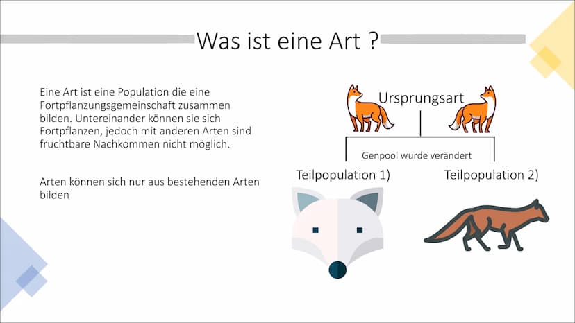 Allopatrische und
Sympatrische Artbildung
Vortrag von Celine Hintz ●
Was ist eine Art ?
Allopatrische Artbildung
Erklärung (Einstieg)
Ablauf