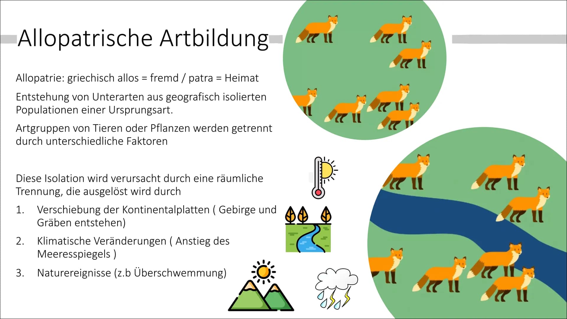 Allopatrische und
Sympatrische Artbildung
Vortrag von Celine Hintz ●
Was ist eine Art ?
Allopatrische Artbildung
Erklärung (Einstieg)
Ablauf