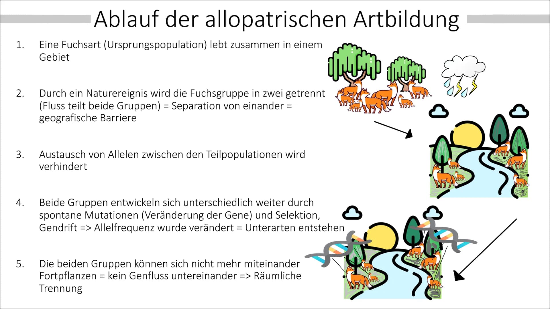 Allopatrische und
Sympatrische Artbildung
Vortrag von Celine Hintz ●
Was ist eine Art ?
Allopatrische Artbildung
Erklärung (Einstieg)
Ablauf