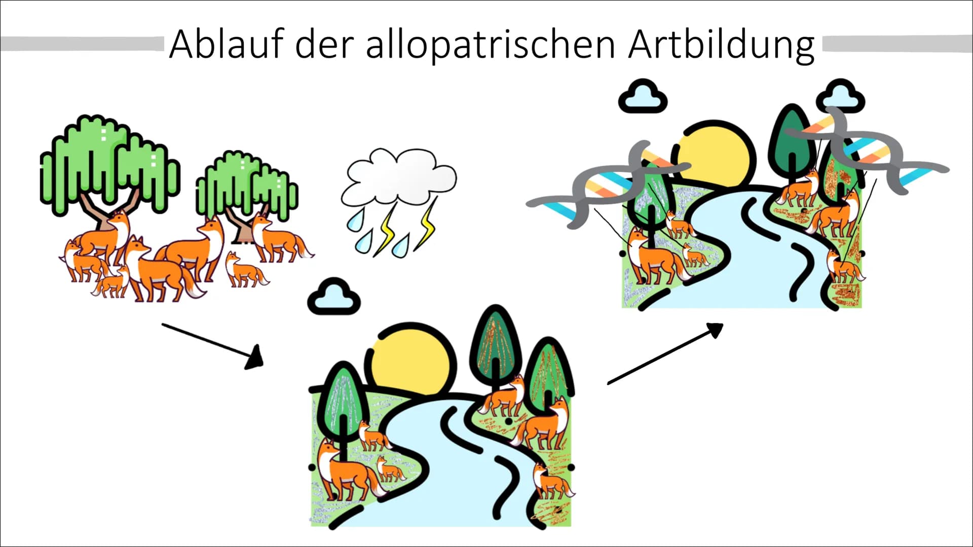 Allopatrische und
Sympatrische Artbildung
Vortrag von Celine Hintz ●
Was ist eine Art ?
Allopatrische Artbildung
Erklärung (Einstieg)
Ablauf