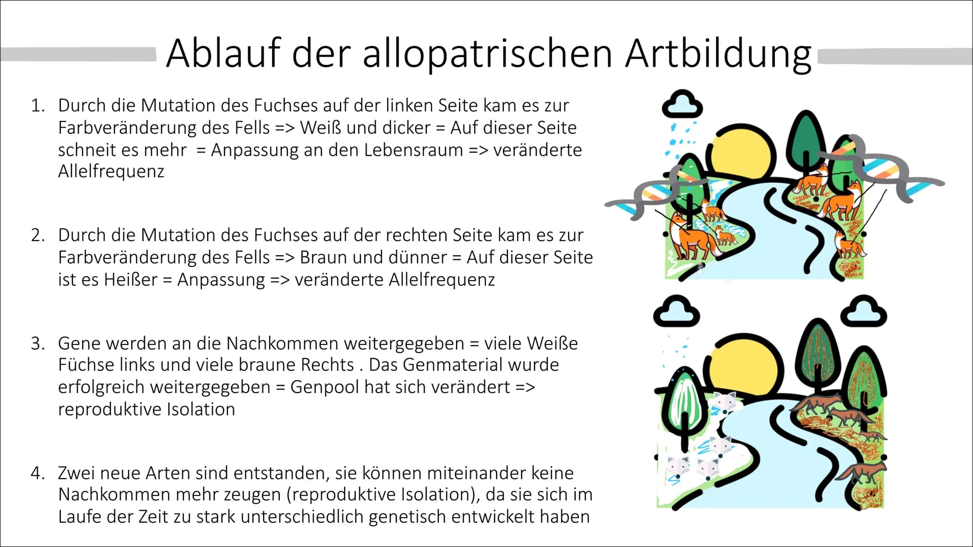 Allopatrische und
Sympatrische Artbildung
Vortrag von Celine Hintz ●
Was ist eine Art ?
Allopatrische Artbildung
Erklärung (Einstieg)
Ablauf