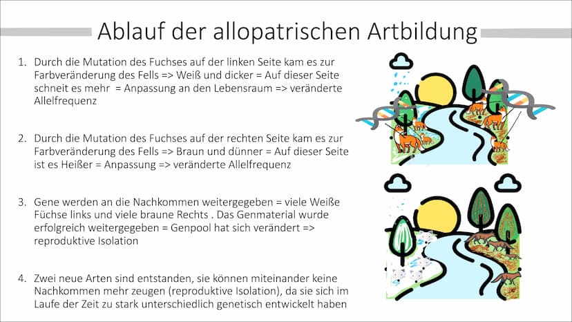 Allopatrische und
Sympatrische Artbildung
Vortrag von Celine Hintz ●
Was ist eine Art ?
Allopatrische Artbildung
Erklärung (Einstieg)
Ablauf