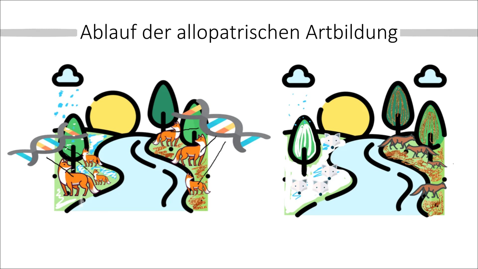 Allopatrische und
Sympatrische Artbildung
Vortrag von Celine Hintz ●
Was ist eine Art ?
Allopatrische Artbildung
Erklärung (Einstieg)
Ablauf