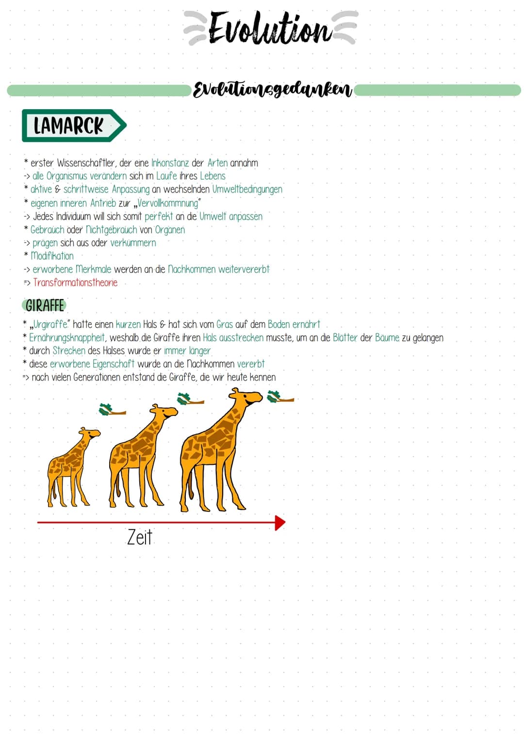 LAMARCK
* erster Wissenschaftler, der eine Inkonstanz der Arten annahm
-> alle Organismus verändern sich im Laufe ihres Lebens
*aktive & sch