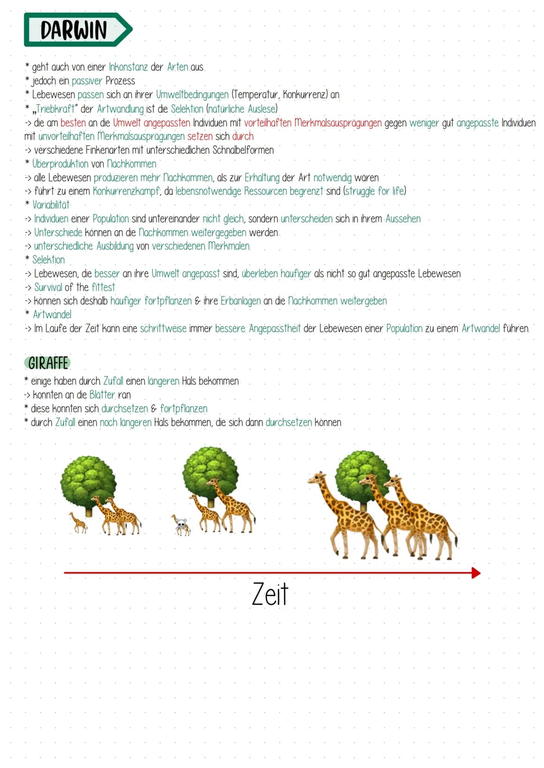 LAMARCK
* erster Wissenschaftler, der eine Inkonstanz der Arten annahm
-> alle Organismus verändern sich im Laufe ihres Lebens
*aktive & sch