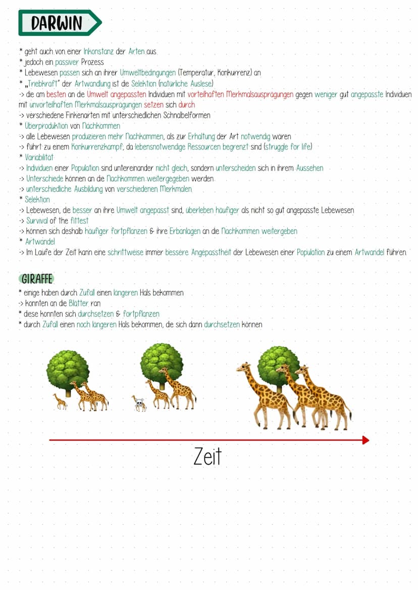 LAMARCK
* erster Wissenschaftler, der eine Inkonstanz der Arten annahm
-> alle Organismus verändern sich im Laufe ihres Lebens
*aktive & sch