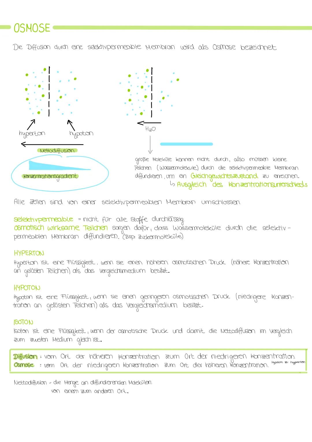 # STRUKTUR UND FUNKTIONEN
# VON ZELLEN

KENNZEICHEN DES LEBENS

Wachstum und Entwicklung
Stoffwechsel
Reaktion auf Reize
Selbstständige Bewe