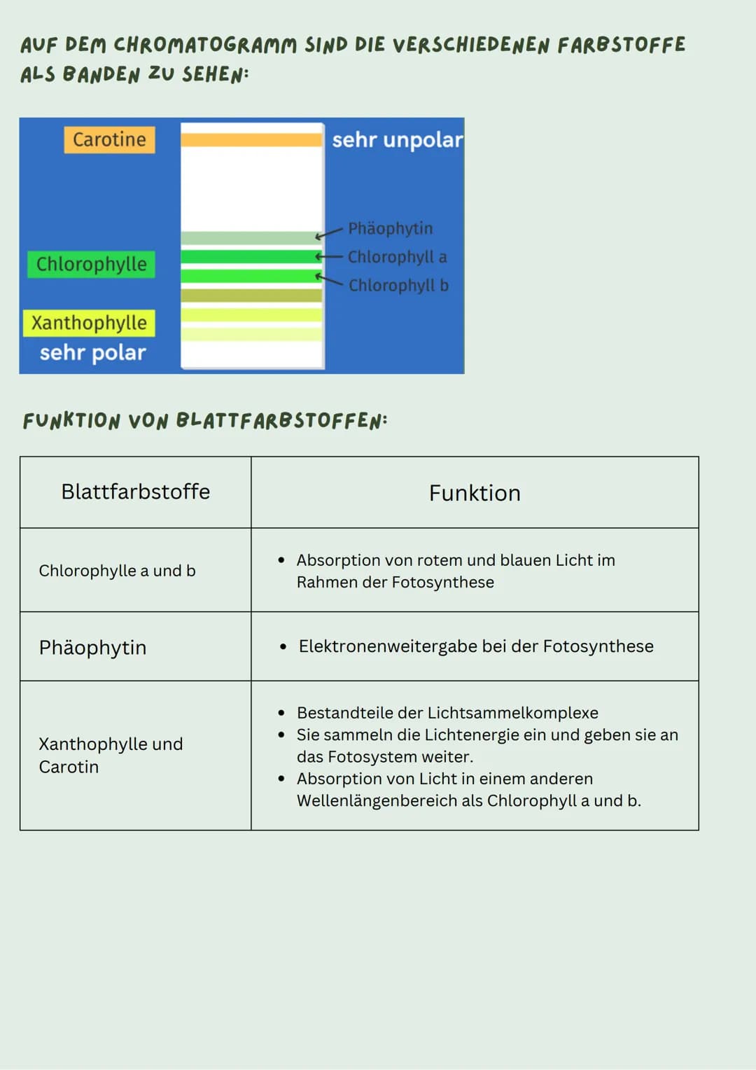 VERSUCHSMATERIALIEN
• Dünnschichtchromatografie-Platte (DC-Platte)
x1 Becherglas
●
• Isopropanol (polar)
• Mörser
• x1 Pipette
• Kieselgel
•
