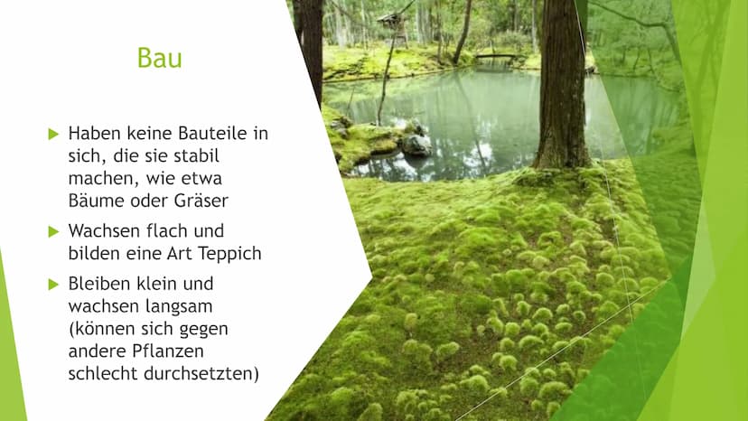 
<p>Kostenloser Download von <a href="https://unterricht.schule">unterricht.schule</a></p>
<h2 id="aufgabenstellungen">Aufgabenstellungen:</