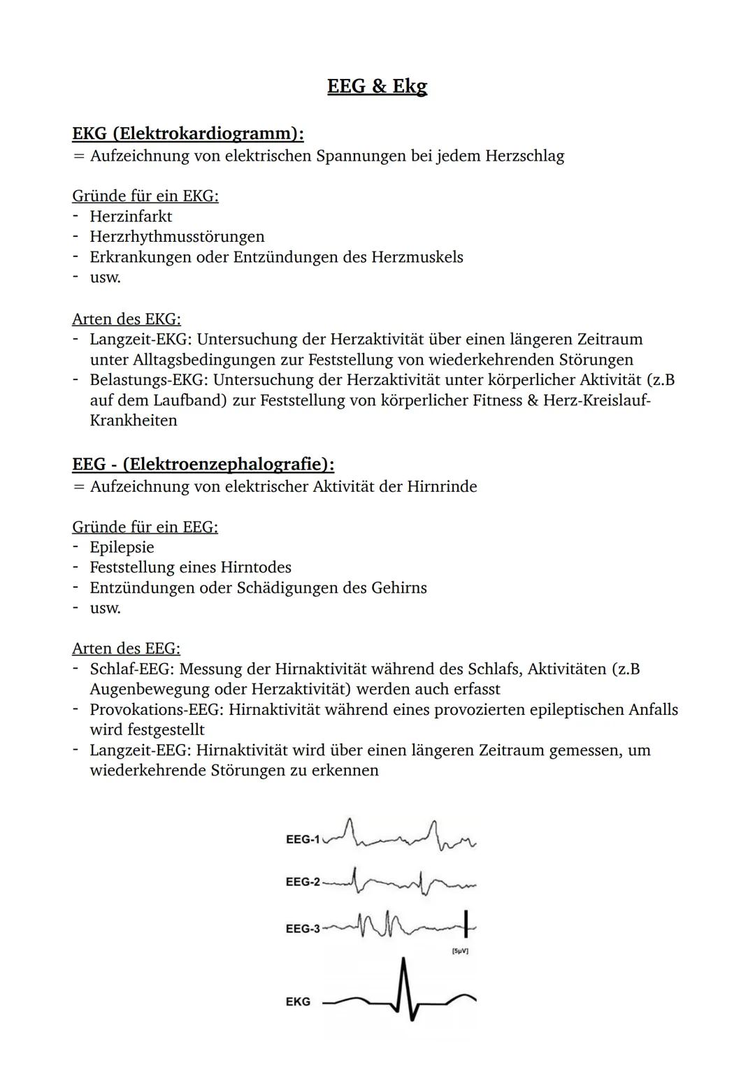 Langzeit-EKG und EEG einfach erklärt: Was darf man nicht?