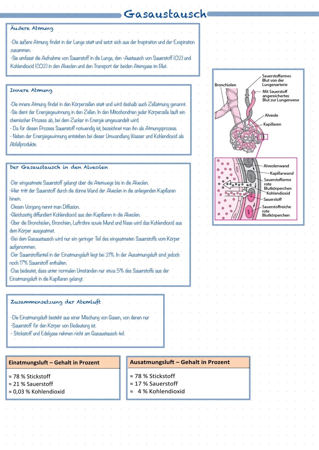 Was ist das Atmungssystem ?
Mit Hilfe des Atmungssystems (respiratorisches System) ist der Körper in der Lage zu atmen, dass heißt Gase mit 