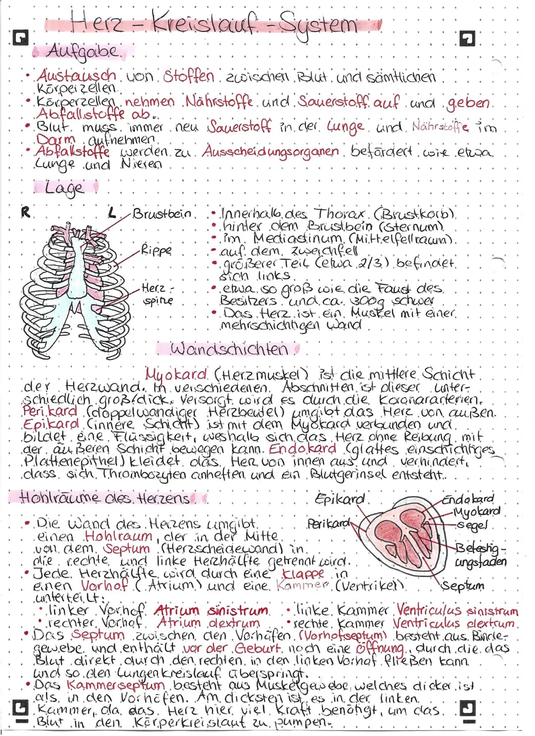 1 Herz-Kreislauf - System!
G
R
Aufgabe.
Austausch von Stoffen zwischen Blut und sämtlichen
Körpeizellen
Körperzellen nehmen Nährstoffe und S