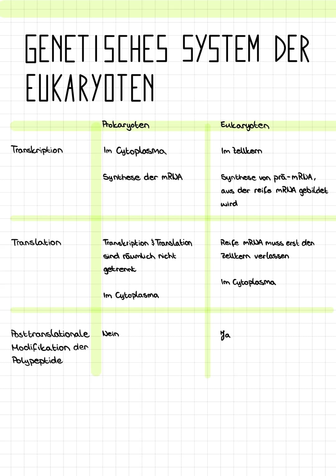 GENETISCHES SYSTEM DER
EUKARYOTEN
Transkription
Translation
Posttranslationale
Modifikation der
Polypeptide
Prokaryoten
Im Cytoplasma
Synthe