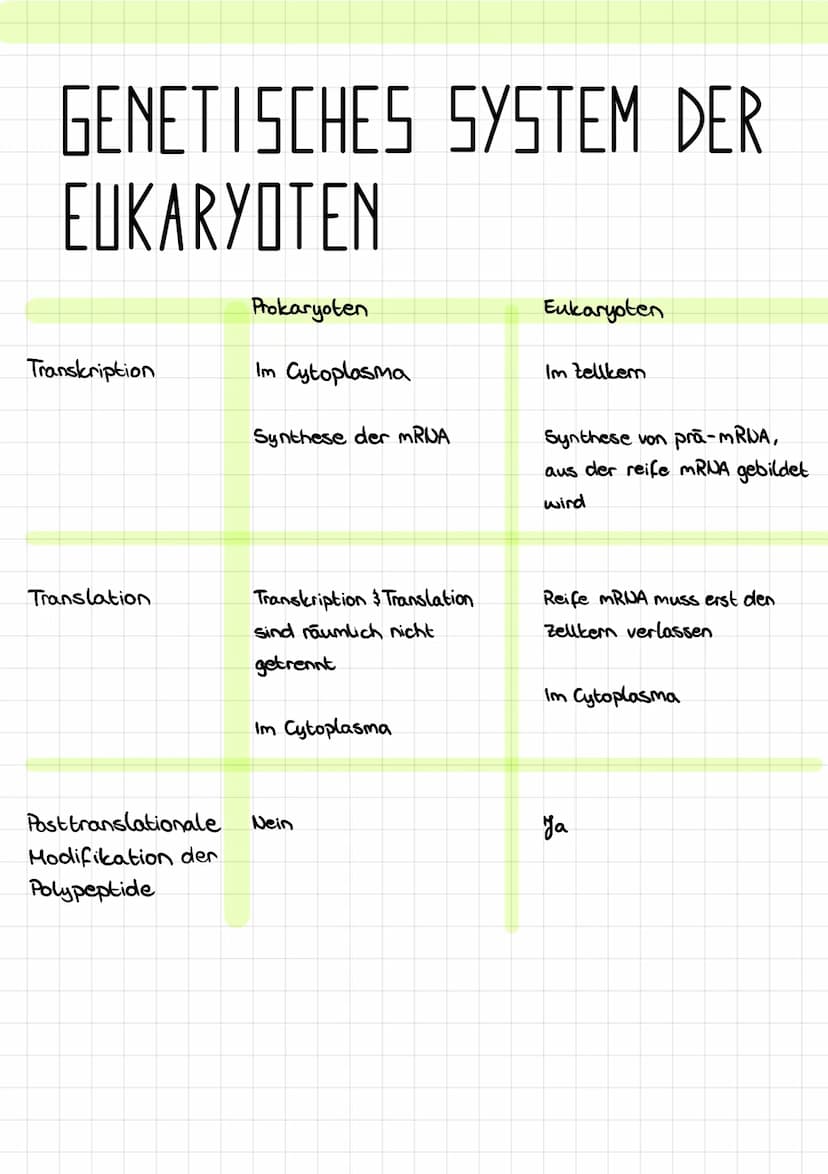 GENETISCHES SYSTEM DER
EUKARYOTEN
Transkription
Translation
Posttranslationale
Modifikation der
Polypeptide
Prokaryoten
Im Cytoplasma
Synthe