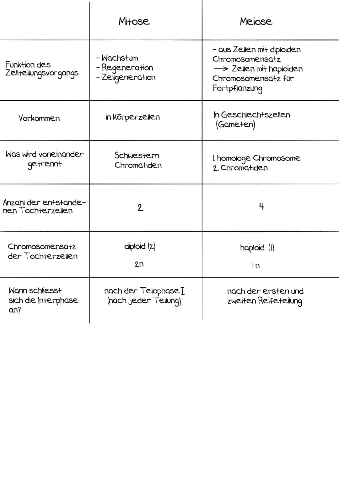 Interphase
Interphase:
- Zeitraum
zwischen zwei
Mitosen
- 46 Chromosome
unkondensiert im
Zellkern
- DNA verdoppelt
sich zwei
Chromatide pro
