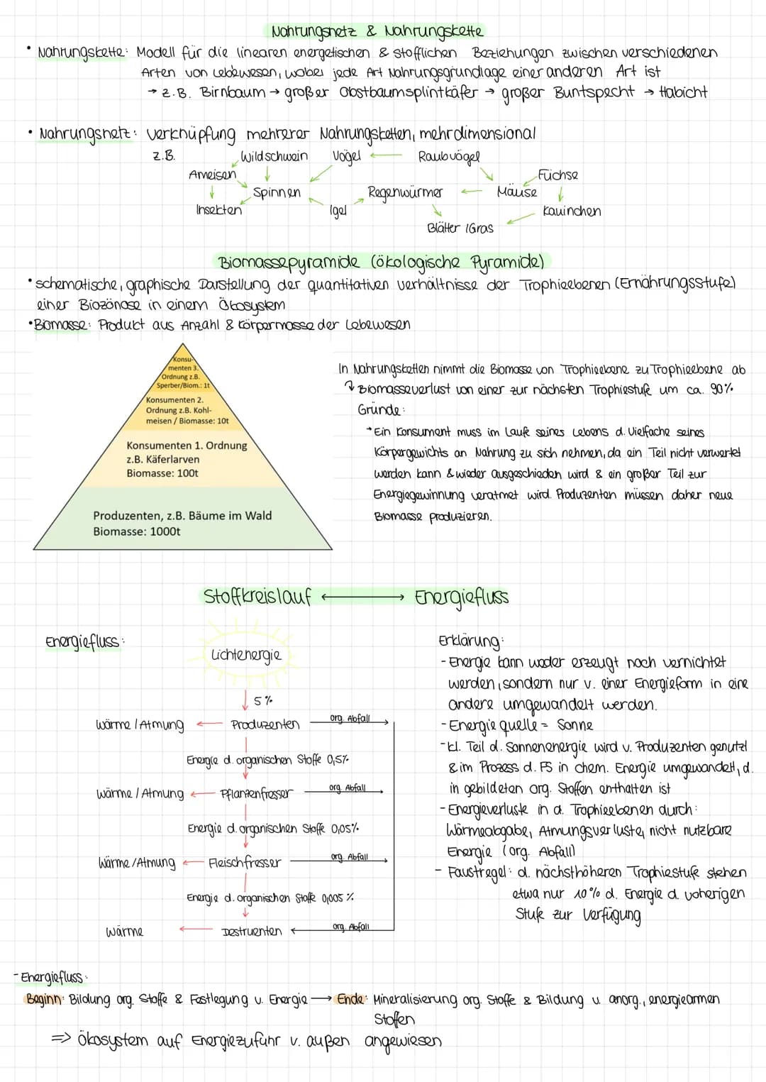 Nahrungsnetz & Nahrungskette
Nahrungskette: Modell für die linearen energetischen & stofflichen Beziehungen zwischen verschiedenen
Arten von