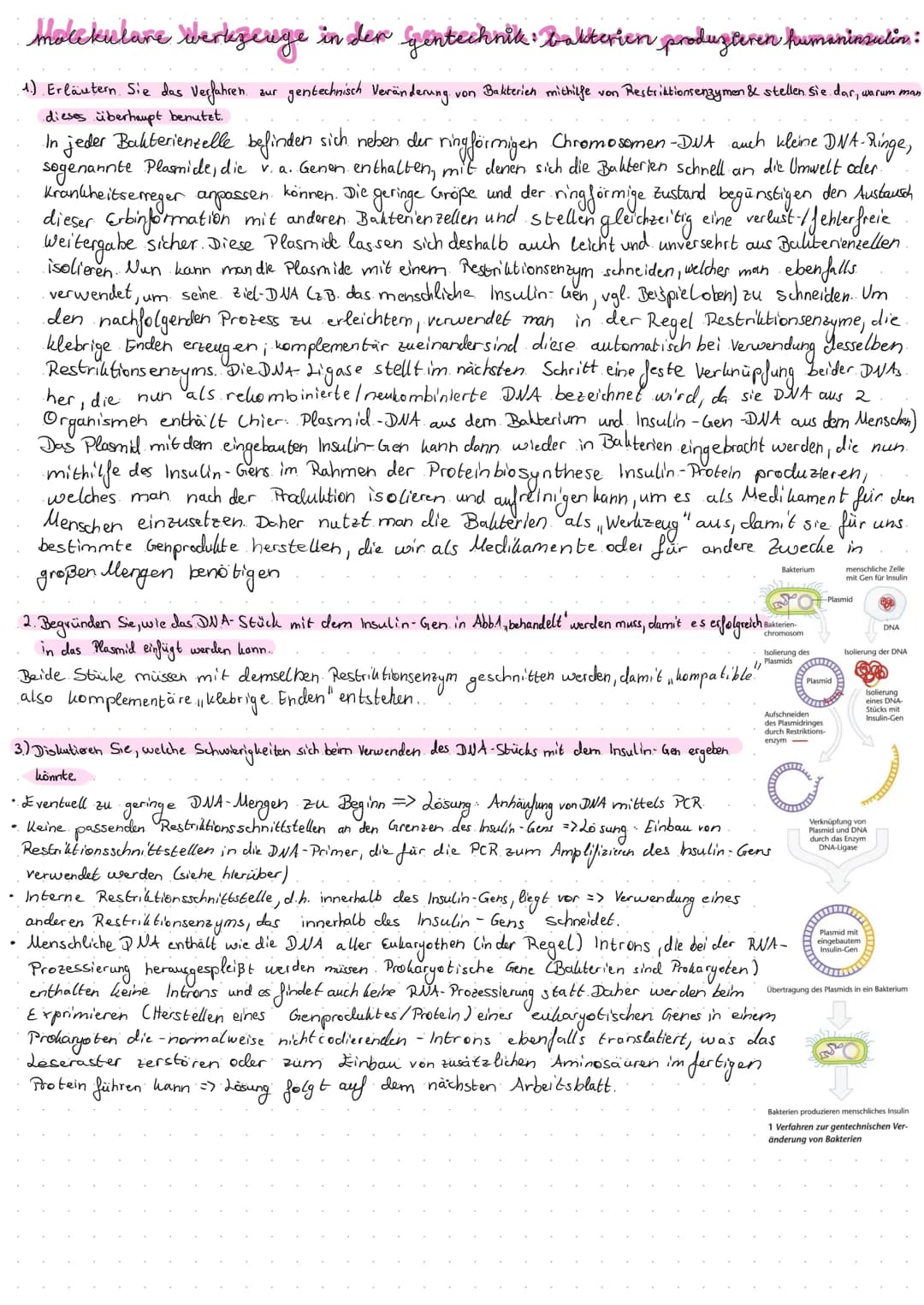 Restriktionsenzyme als mole bullar biologische Werkzeuge:
1.) Erklären Sie, was die Schere", der Kleber " & "klebrige. Enden." (sticky ends)