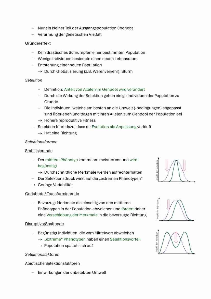 Evolution
Systematik
Anordnung von Organismen in einem Stammbaum, mit Hilfe von Systematischen
Kategorien
Domäne: Eukaryoten, Prokaryoten
Re