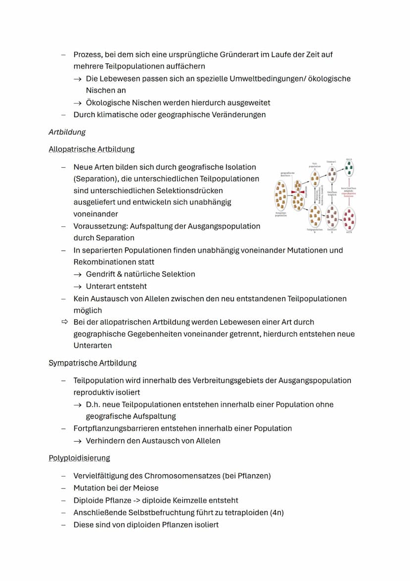 Evolution
Systematik
Anordnung von Organismen in einem Stammbaum, mit Hilfe von Systematischen
Kategorien
Domäne: Eukaryoten, Prokaryoten
Re