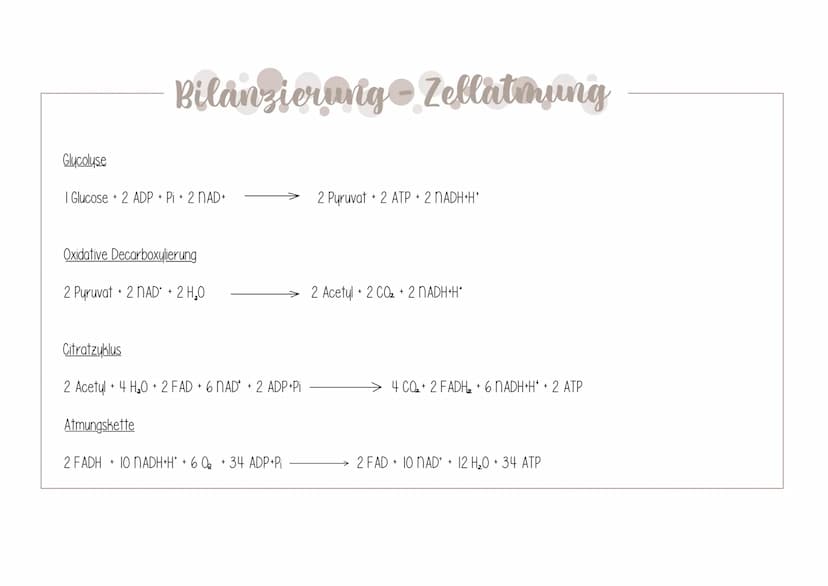  Biologie Klausuri
Matrix
ⒸNH₂
H
AUFBAU EINES MITOCHONDRIUMS
H
H
OH HO
DNA
(5)
Ribosomen
AUFBAU UND AUFGABE EINES ATP-MOLEKÜLS
7
Äußere Memb
