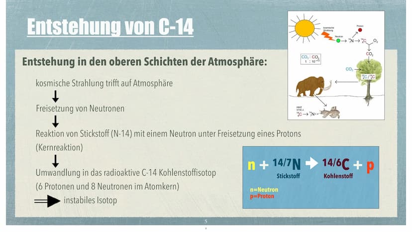 Die C-14 Methode Themen
✓ Was ist die C-14 Methode?
✔ Wer entwickelte die C-14 Methode?
✓ Entstehung von C-14
✓ Wie gelangt C-14 in Organism