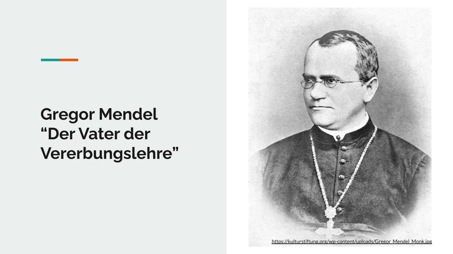 
<p>![Gregor Mendel Monk](https://kulturstiftung.org/wp-content/uploads/Gregor Mendel Monk.jpg)</p>
<h2 id="daslebenvongregormendel">Das Leb