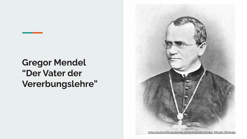 
<p>![Gregor Mendel Monk](https://kulturstiftung.org/wp-content/uploads/Gregor Mendel Monk.jpg)</p>
<h2 id="daslebenvongregormendel">Das Leb